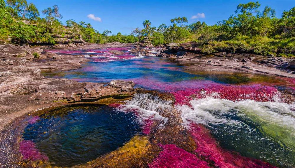 Cano Cristales from Bogota - 3 Days / 2 Nights Yellow Fever Vaccination Required